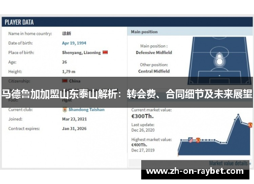 马德鲁加加盟山东泰山解析：转会费、合同细节及未来展望