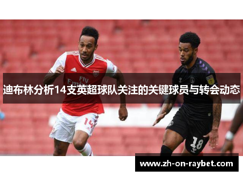 迪布林分析14支英超球队关注的关键球员与转会动态